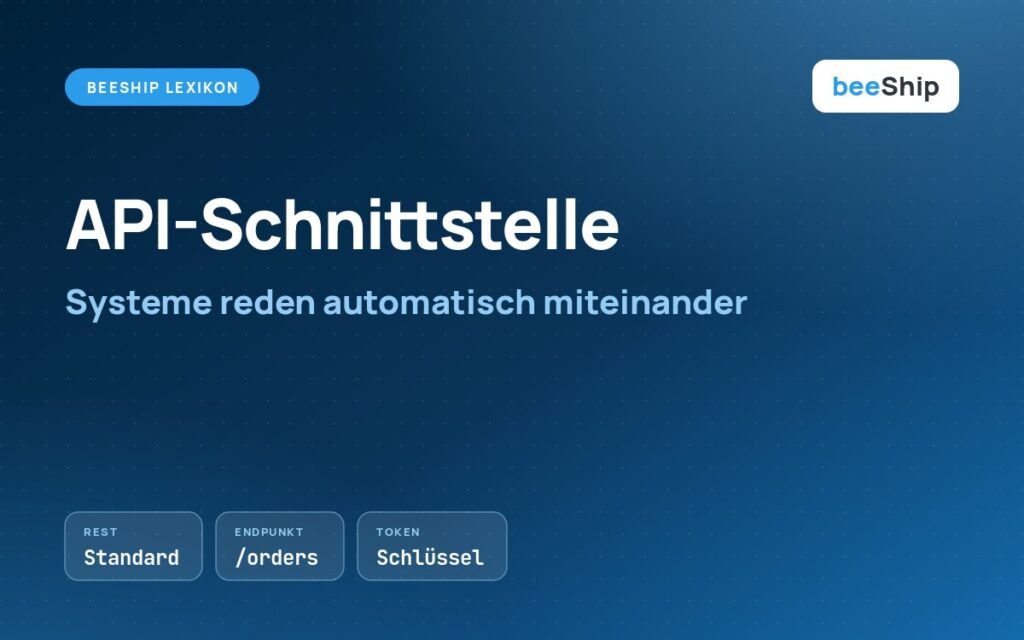Was ist eine API: Beitragsbild mit den Begriffen REST, Endpunkt und Token für API-Schnittstellen